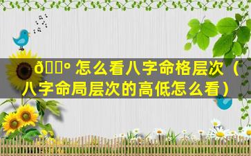 🌺 怎么看八字命格层次（八字命局层次的高低怎么看）